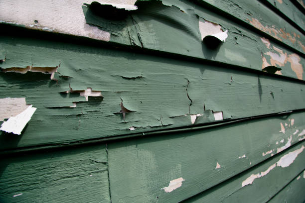 Professional Junk Removal in Woodbury, NY
